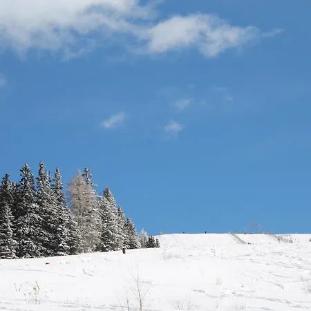 Koralpe Alpenperle