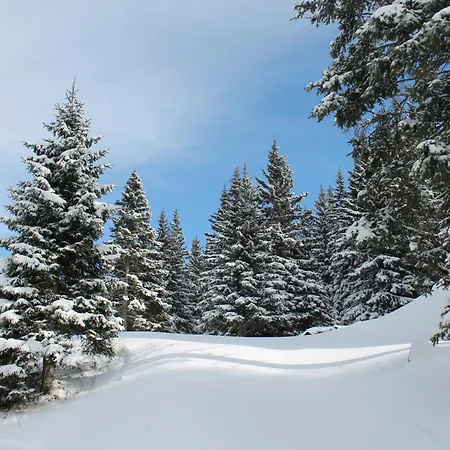 Alpehytte Koralpe Alpenperle *