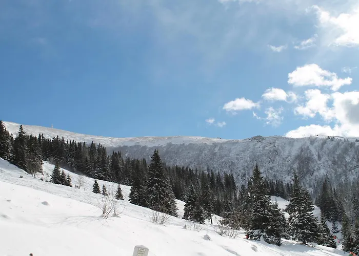 Domek alpejski Koralpe Alpenperle