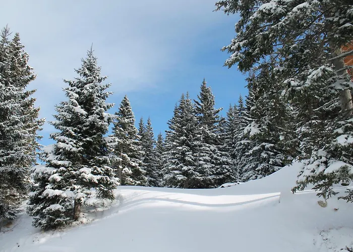 Domek alpejski Koralpe Alpenperle *