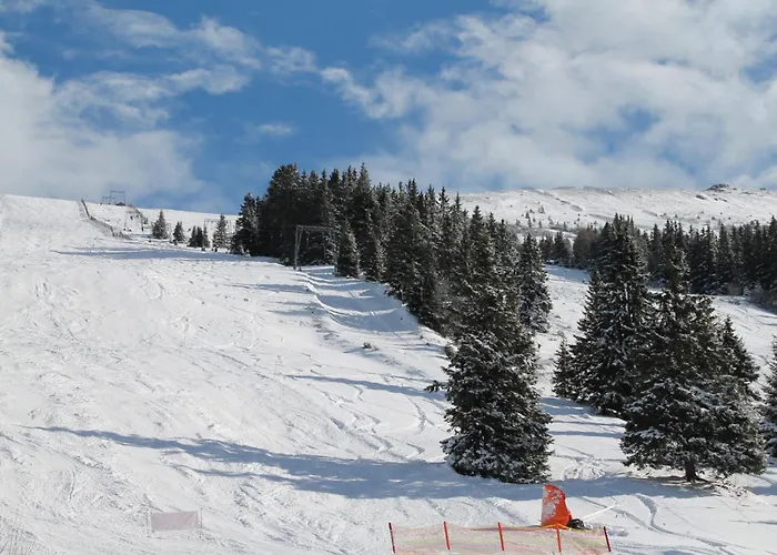 Koralpe Alpenperle *